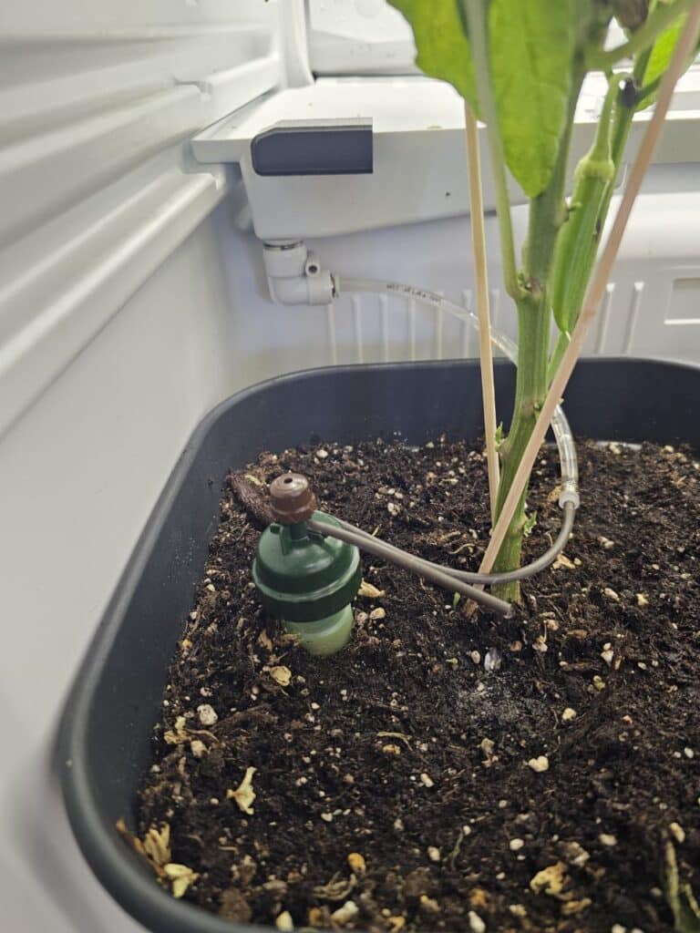Bewässerung Blumaten Growbox